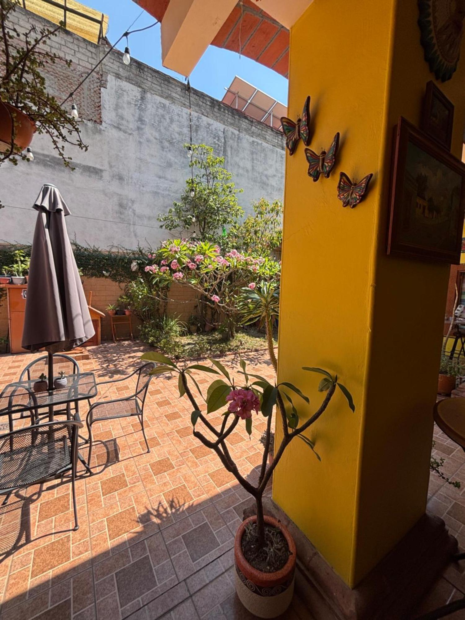 Hotel Posada "Mi Rosita" Oaxaca Экстерьер фото